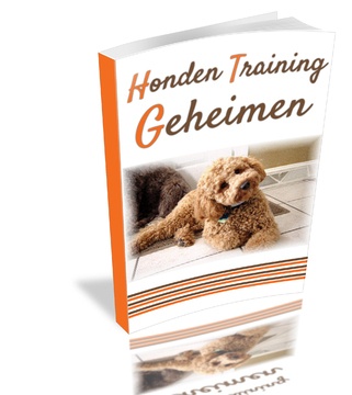 Honden-training-geheimen